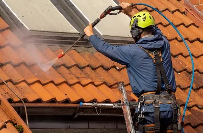 Démoussage et hydrofuge de toiture à la Neuville-Vault